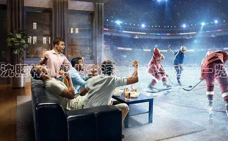 杏盛注册登录官网观星盘沈照林：职业生涯、荣誉与成就一览