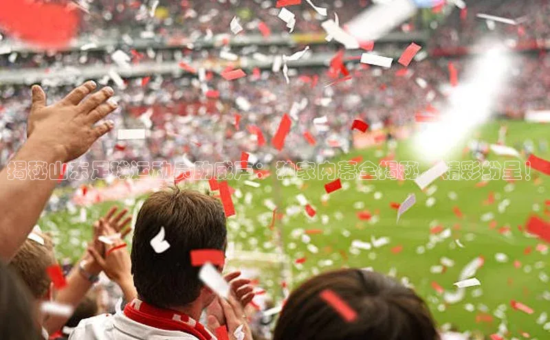 杏盛招商百度翻译App揭秘山东足球运动员助威声：独家内幕全揭秘，精彩纷呈！