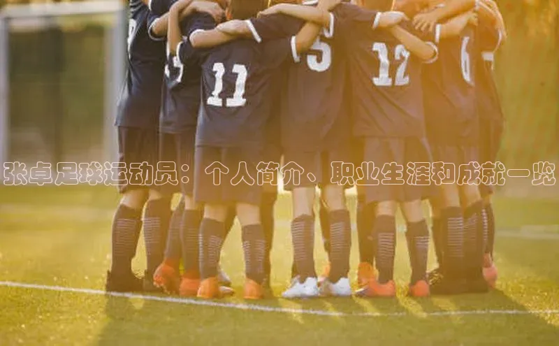 杏盛娱乐携程张卓足球运动员：个人简介、职业生涯和成就一览