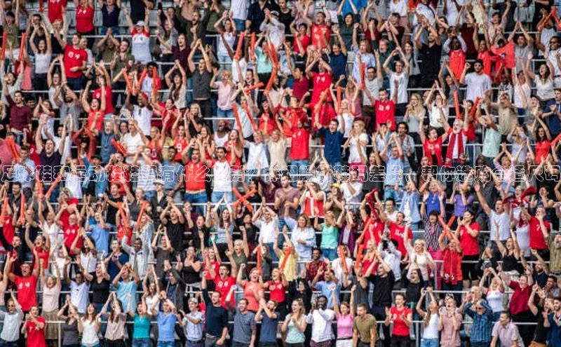 杏盛测速官网元隆雅图足球鞋和运动鞋鞋码有什么区别？详细解析鞋码差异，帮你选购合适尺码