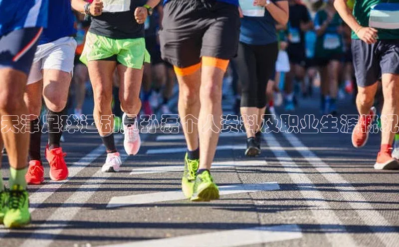 杏盛测速登录入口滴滴出行天津足球运动员孙磊个人资料及职业生涯概况