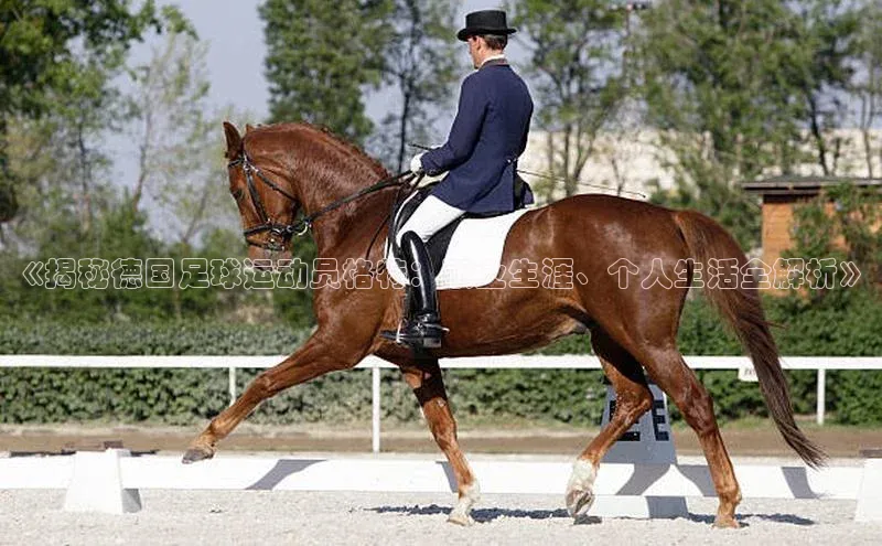 杏盛娱乐官网天键股份《揭秘德国足球运动员格特：职业生涯、个人生活全解析》