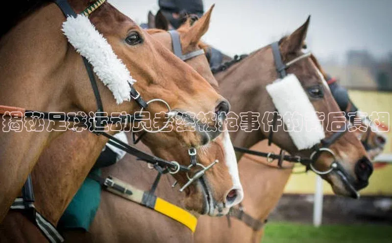 杏盛平台代理百度百聘揭秘足球运动员老婆被抢事件的背后真相
