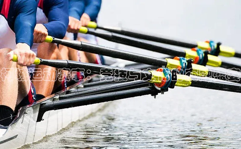 杏盛娱乐度小满理财柯城运动赛事：竞技与文化的交融盛宴