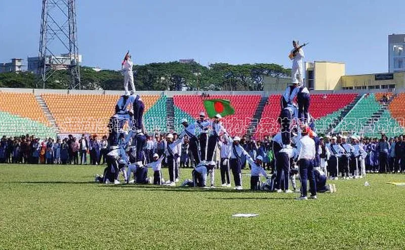 全球十大运动赛事：规模、影响力与竞技精神的深度透视