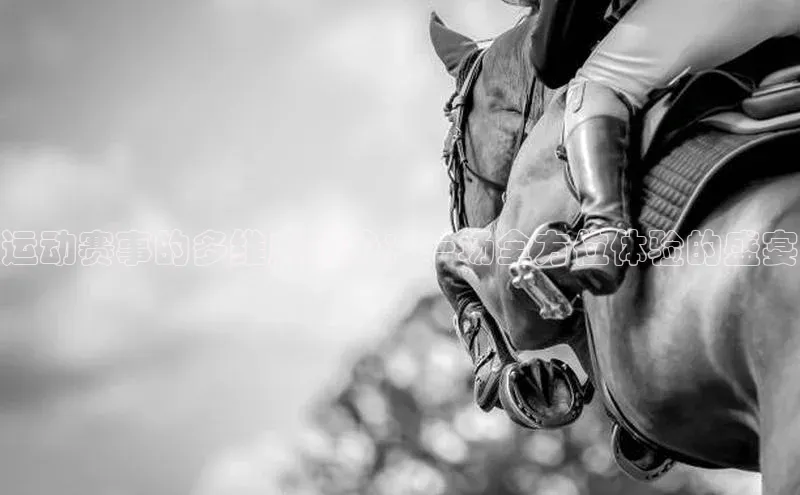 运动赛事的多维度优势：一场全方位体验的盛宴