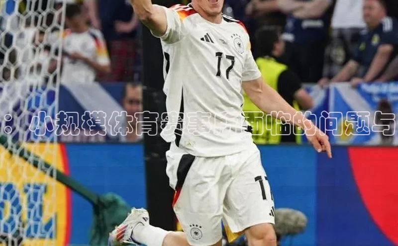 ：小规模体育赛事所面临的问题与