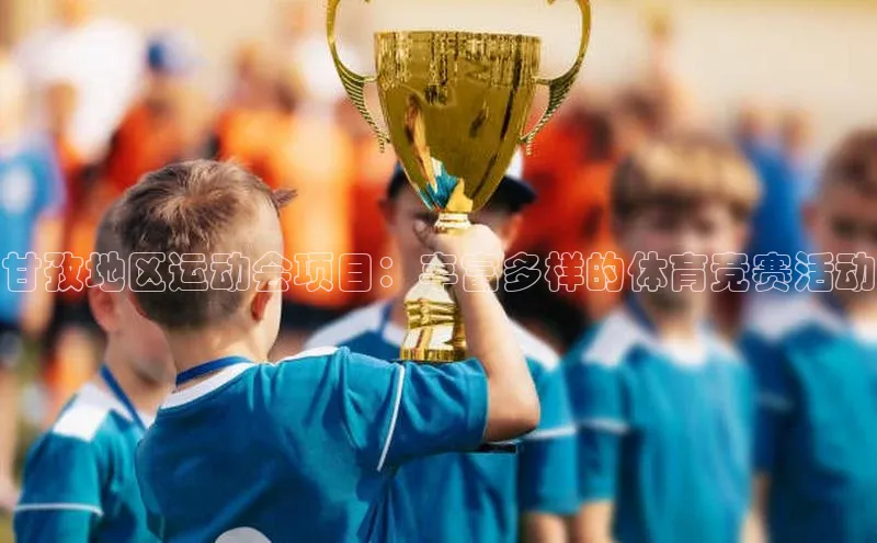 甘孜地区运动会项目：丰富多样的体育竞赛活动