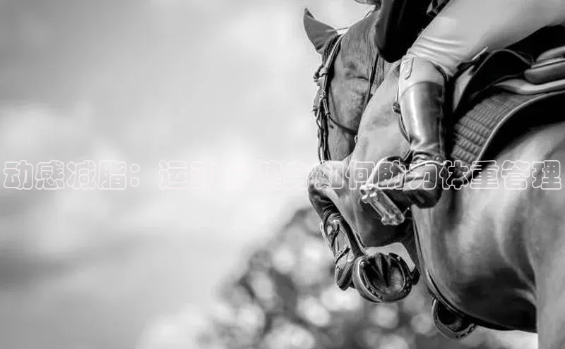 动感减脂：运动与健身如何助力体重管理