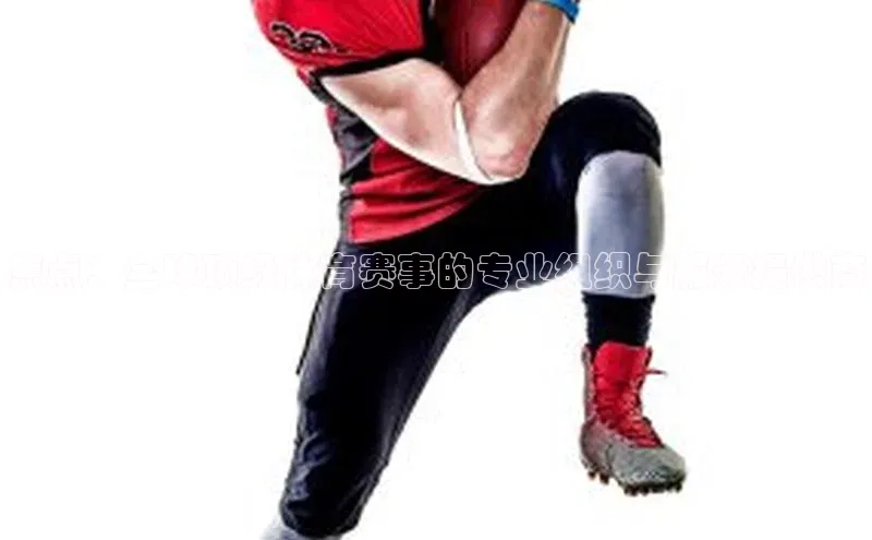 焦点：全球顶级体育赛事的专业组织与服务提供商