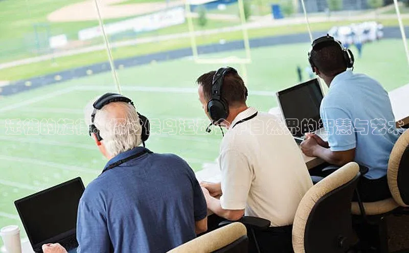 迁徙的旋律：探讨候鸟运动会中自然界的智慧与艺术