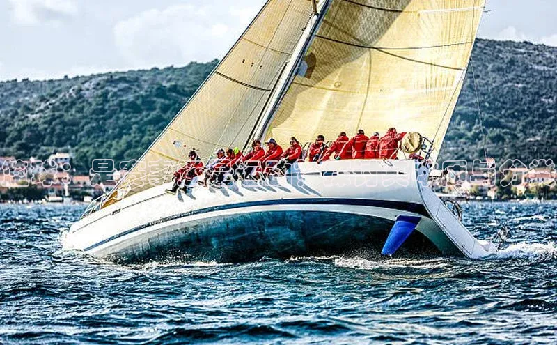 篮球：是赛事还是运动？探讨其本质与分类