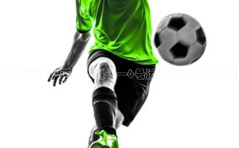 动感激情，活力无限——6号运动公园赛事盛况