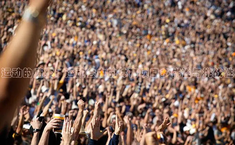 运动的盛宴：运动会中的体育项目多样性与挑战性