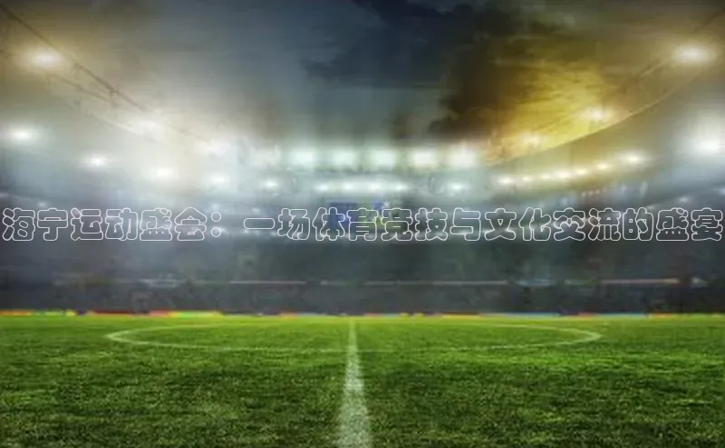 海宁运动盛会：一场体育竞技与文化交流的盛宴