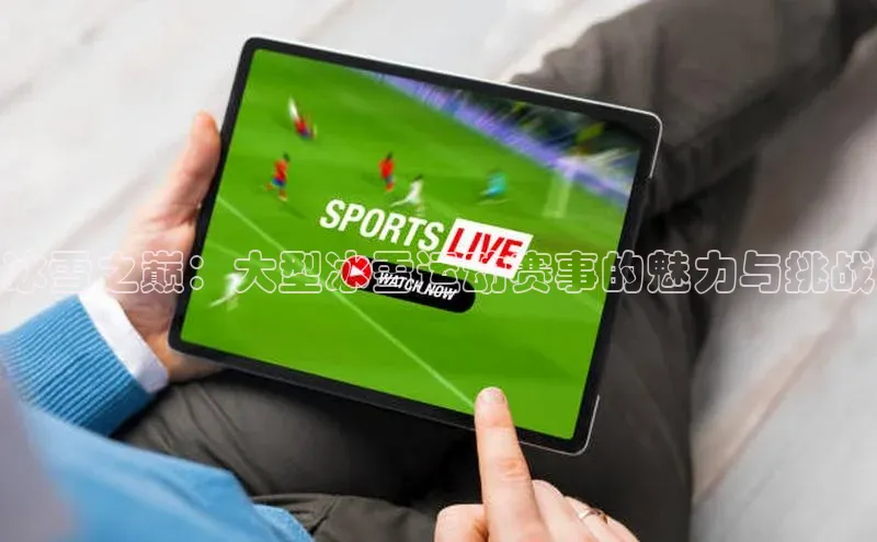 冰雪之巅：大型冰雪运动赛事的魅力与挑战