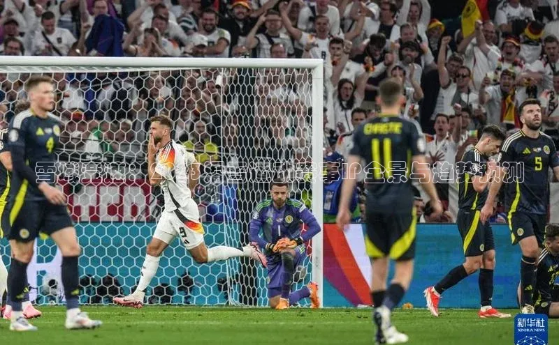 雪域竞速：2023滑雪运动赛事IP全景与趋势预测