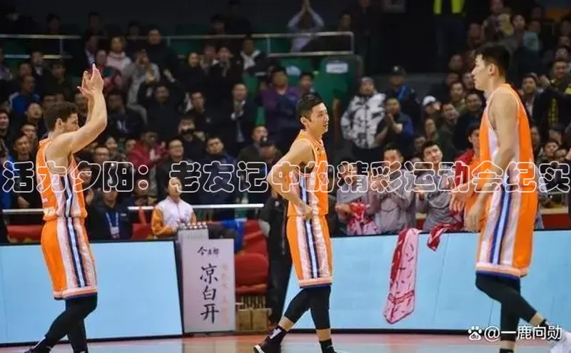 活力夕阳：老友记中的精彩运动会纪实
