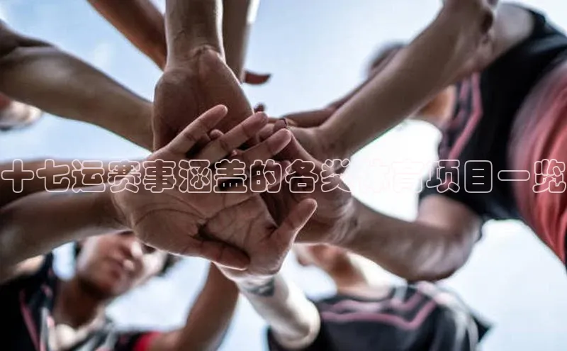 十七运赛事涵盖的各类体育项目一览